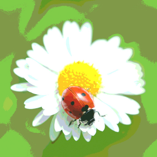 Variation 4