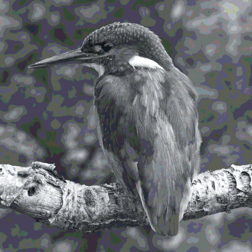 Variation 5
