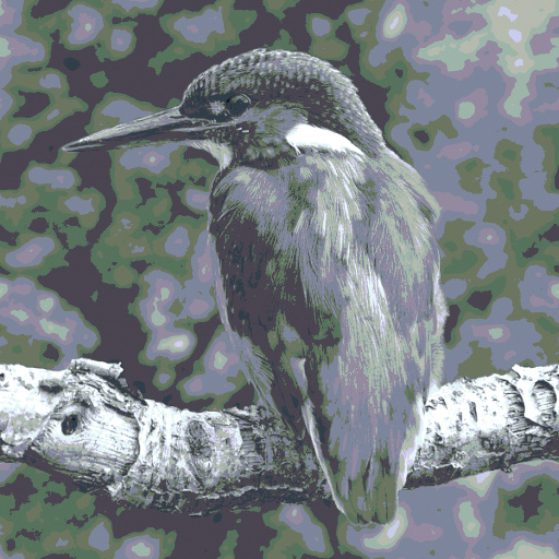 Variation 6