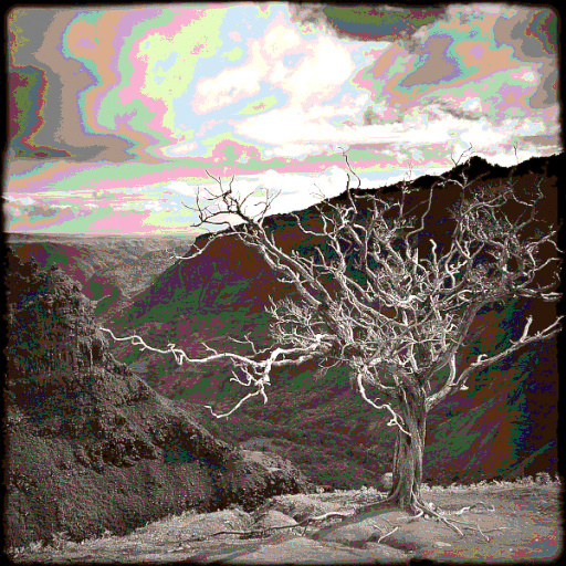 Variation 8