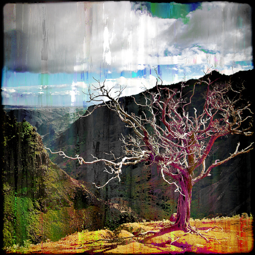 Variation 5