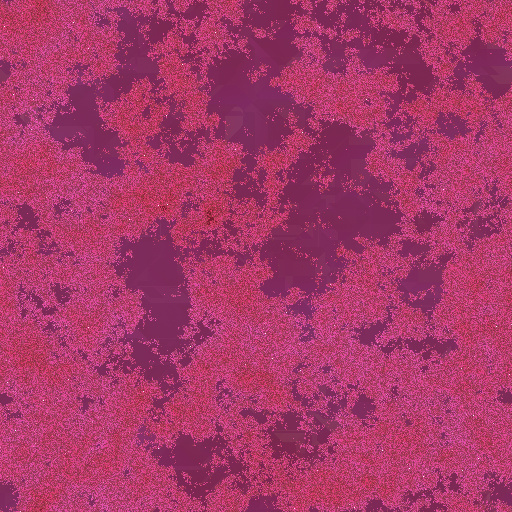 Variation 5