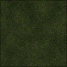 Grass 1