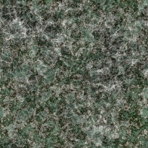 SpeckeledGranite6 (Texture)