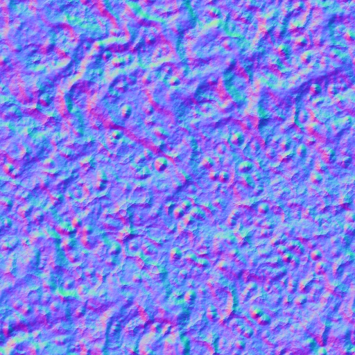 Normal Map