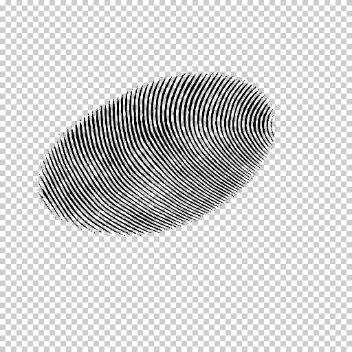 Variation 4