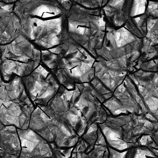 Ambient Occlusion Map