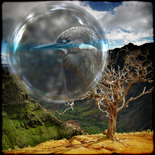 Variation 1
