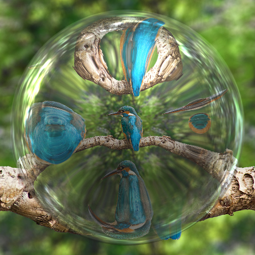 Variation 5