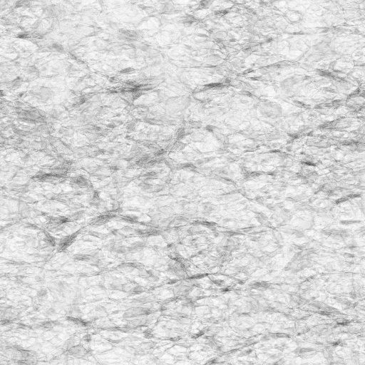 Ambient Occlusion Map