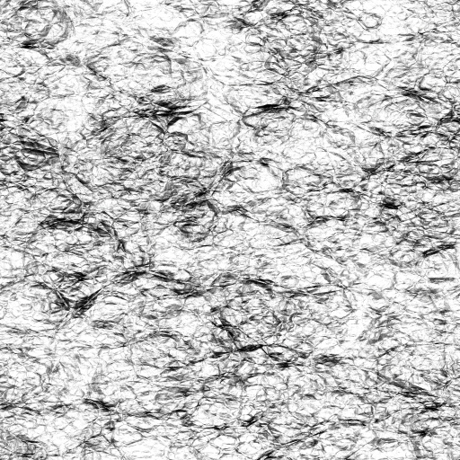 Reflective Occlusion Map