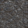 Rocky Shine