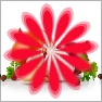 GF Circular Floral Graphics v3
