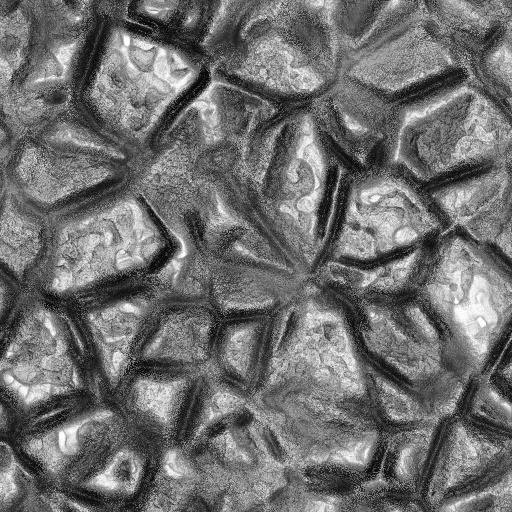 Ambient Occlusion Map