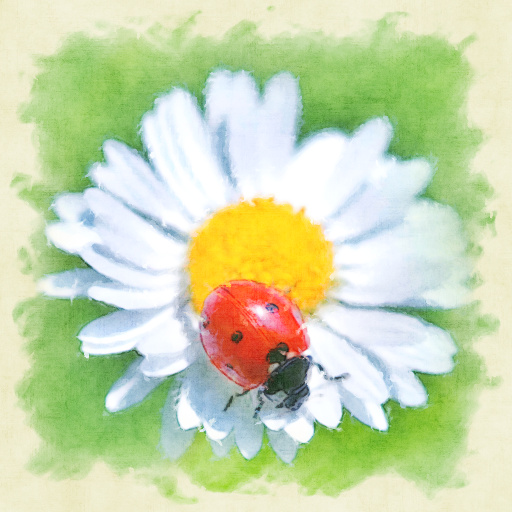 Variation 6
