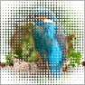 GF Halftone Maker v1