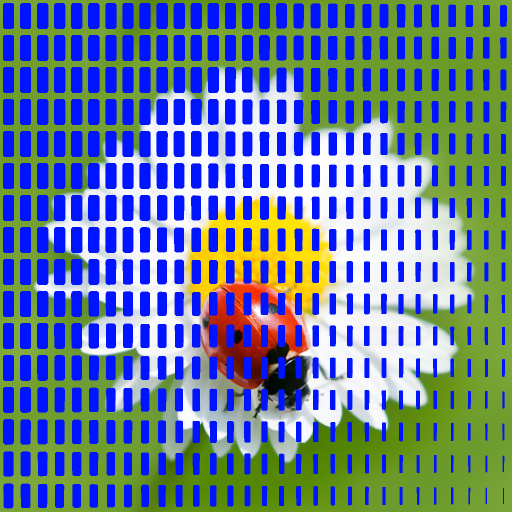 Variation 2