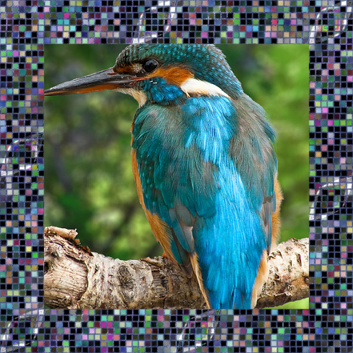 Variation 3