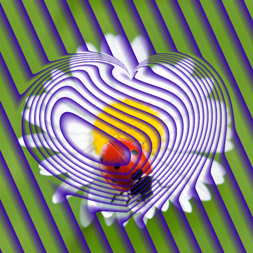 Variation 8