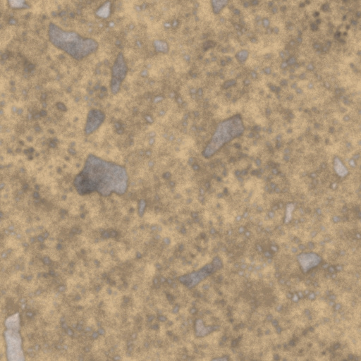 Diffuse Map