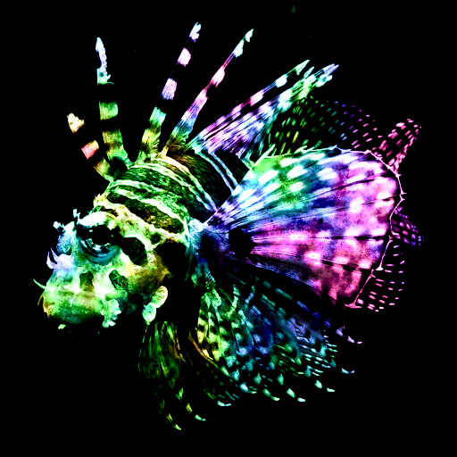 Variation 6