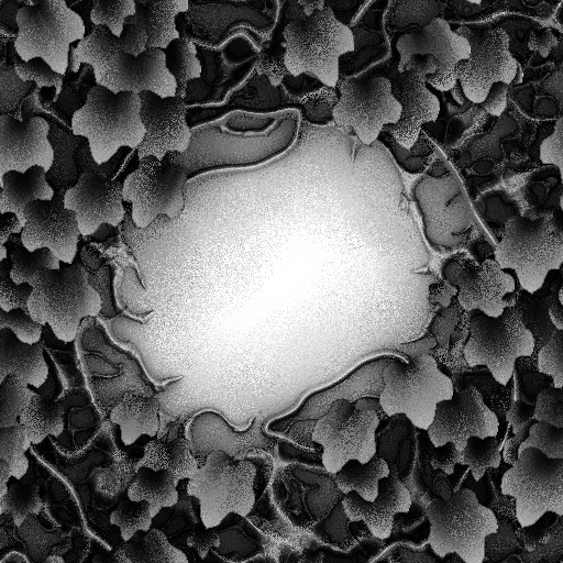 Ambient Occlusion Map