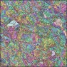 Harlequin Crystal