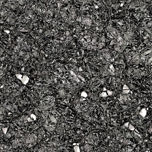 Variation 8