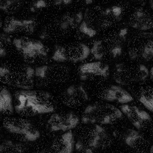 Ambient Occlusion Map