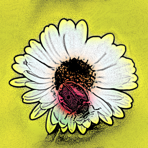 Variation 4