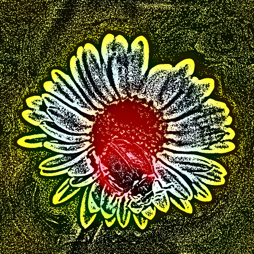 Variation 5