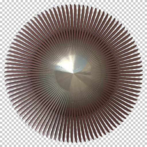 Variation 7