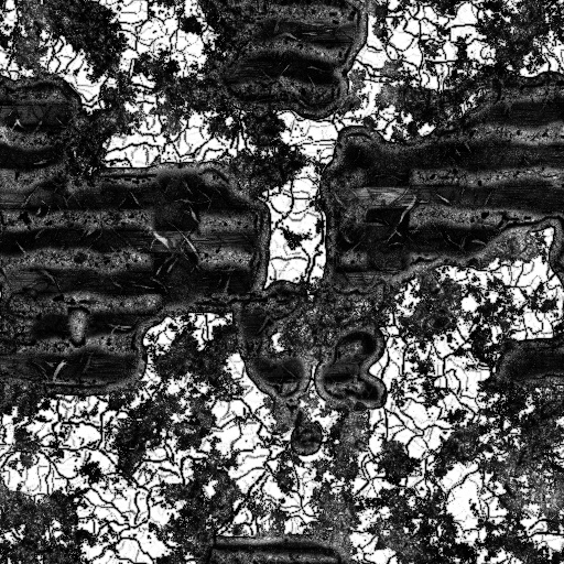 Ambient Occlusion Map