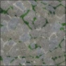 Mossy Flagstone