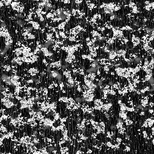 Bump Map