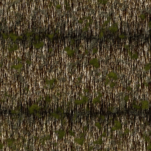 Variation 1