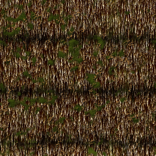 Variation 3