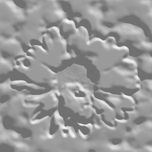 Variation 7
