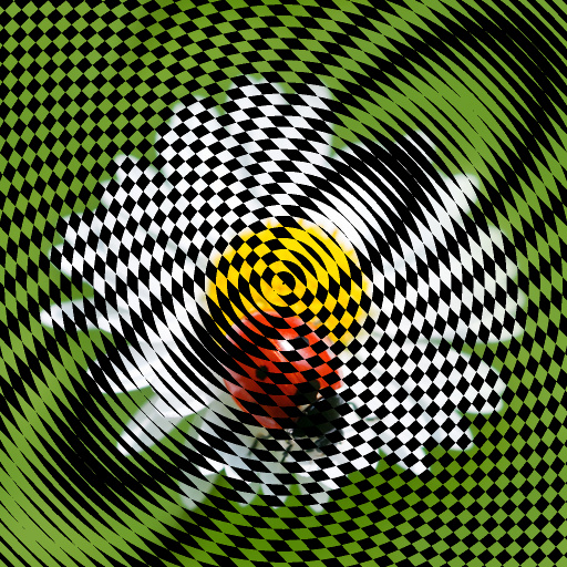 Variation 8