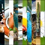 10 Images or Color Stripes Mix V2.0 Basic Vertical