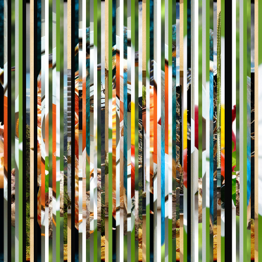 Variation 8