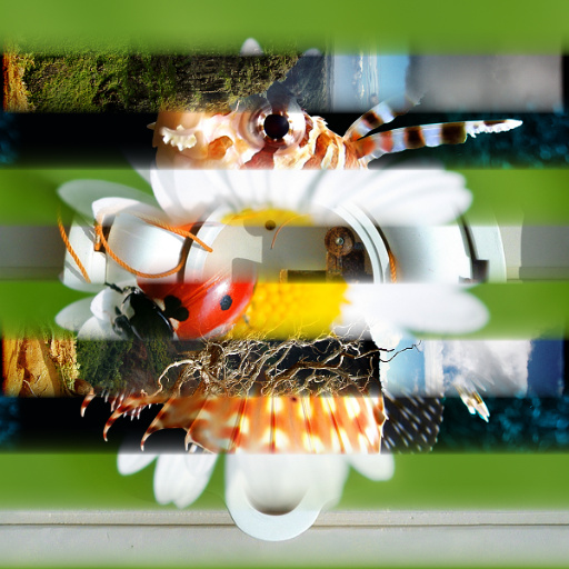 Variation 7