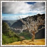 Old Foto Frame