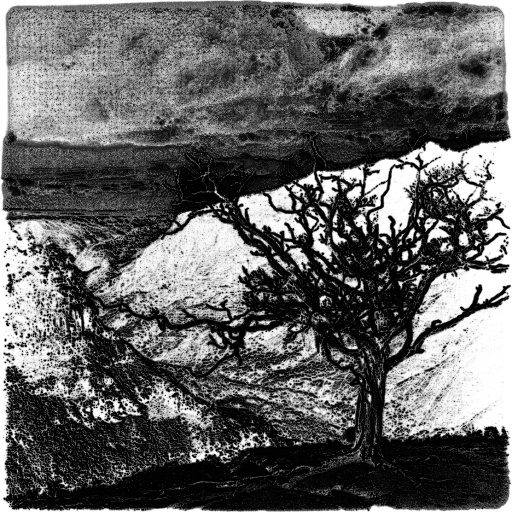 Ambient Occlusion Map