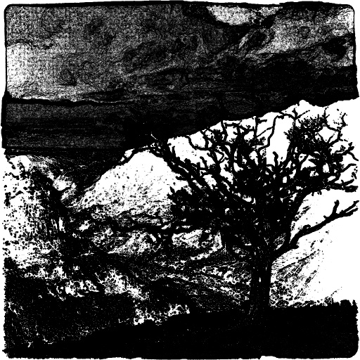 Reflective Occlusion Map