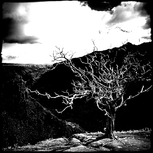 Variation 7
