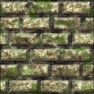 old slimey bricks