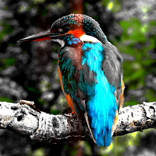 Variation 1
