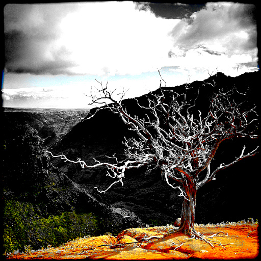 Variation 4