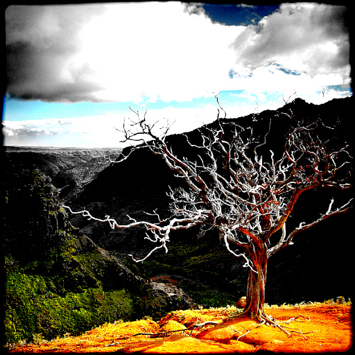Variation 5